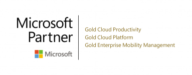 MS Gold Partner